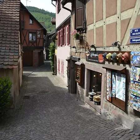Gites Du Stekala Kaysersberg-Vignoble Habitación foto